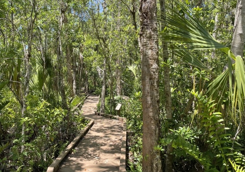 Exploring the Scenic Drives and Routes in Lee County, Florida
