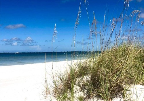 Discover the Vibrant Tourism of Lee County, Florida