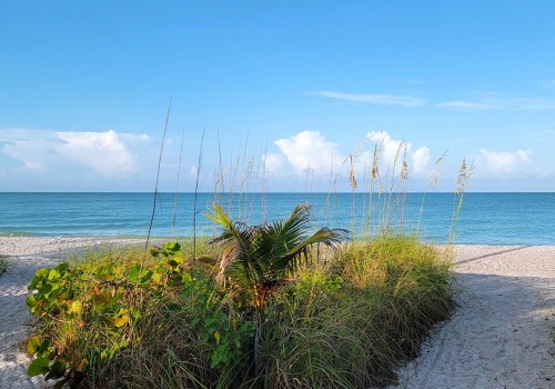 The Best Time to Experience Lee County, Florida Tourism