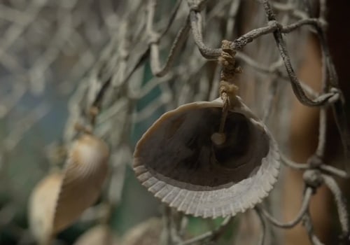 Exploring the Rich History of Lee County, Florida